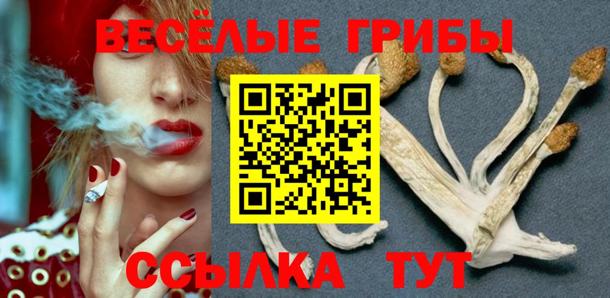 Галлюциногенные грибы Psilocybe  Вход с VPN  Мыски 