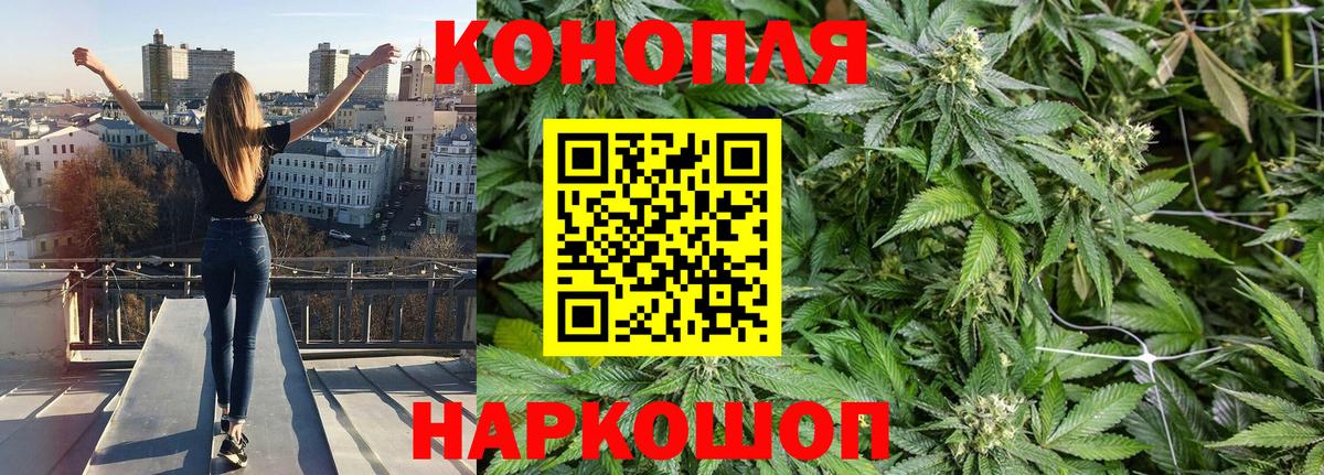 Конопля планчик Мыски
